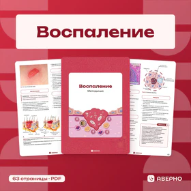 Обложка: Методичка по воспалению