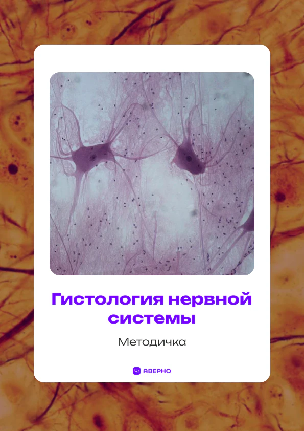 Гистология НС