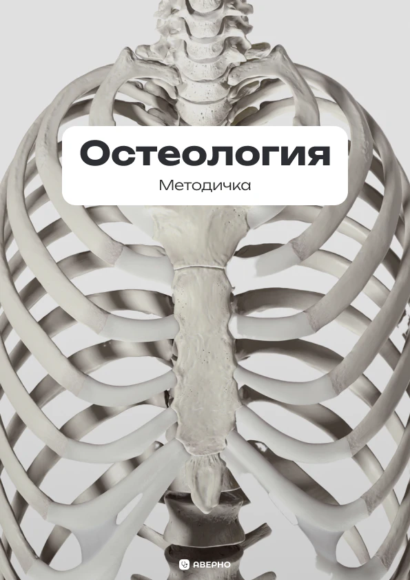 Методичка по остеологии