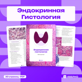 Обложка: Методичка по эндокринной гистологии