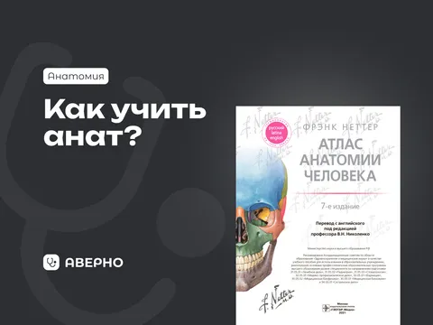 С чего начать изучение анатомии: руководство для студентов медицинских вузов