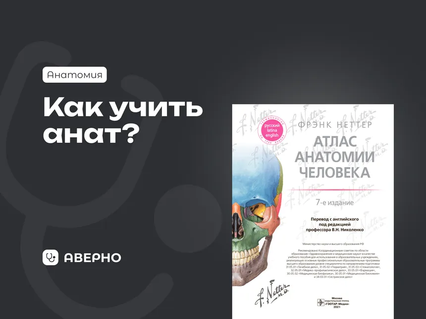 С чего начать изучение анатомии: руководство для студентов медицинских вузов
