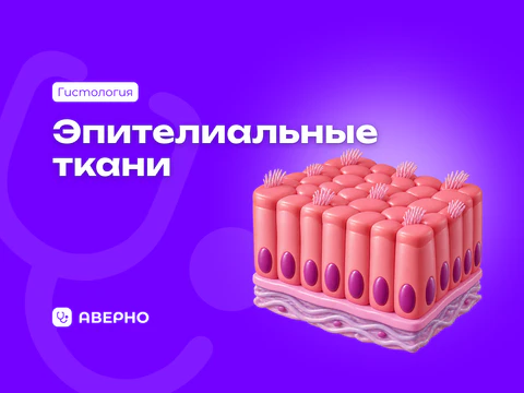 Эпителиальные ткани