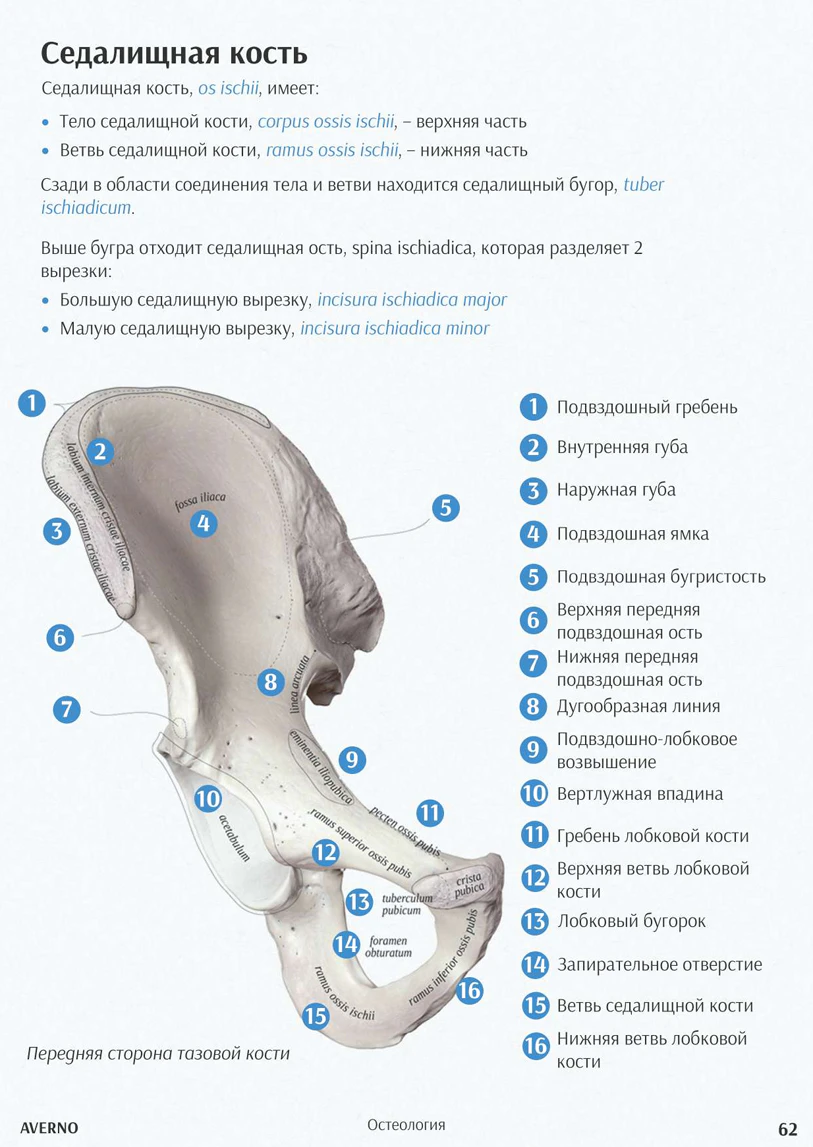 Слайд 3