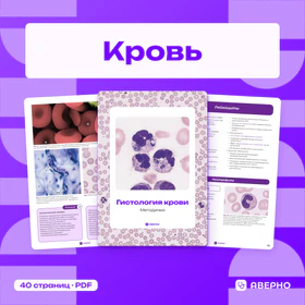 Обложка: Методичка по гистологии крови
