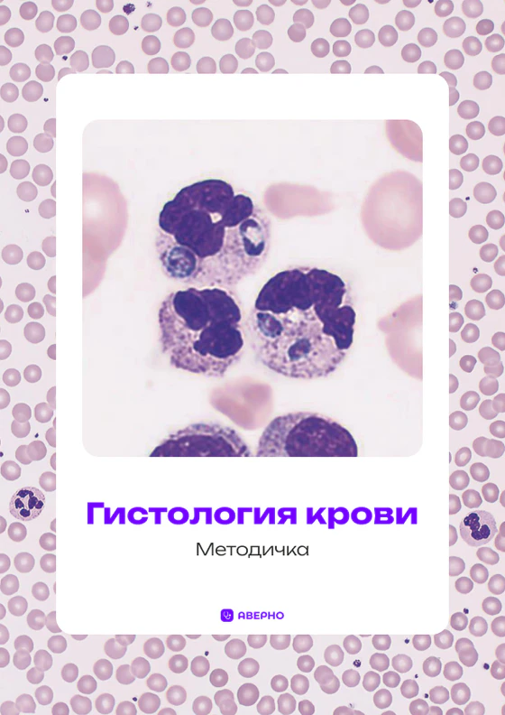 Методичка по гистологии крови