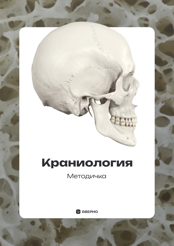 Методичка по краниологии