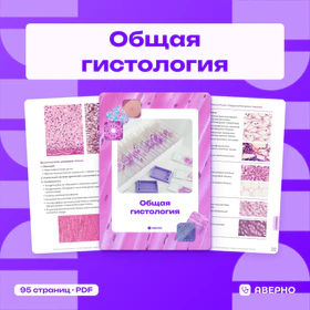 Обложка: Методичка по общей гистологии
