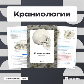 Обложка: Методичка по краниологии