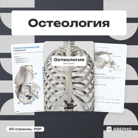 Обложка: Методичка по остеологии